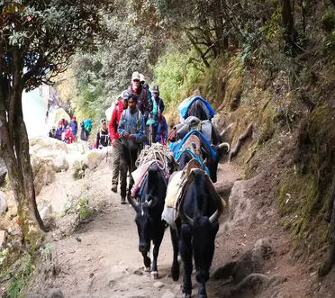 jiri-to-ebc-on-the-way-to-namche-1