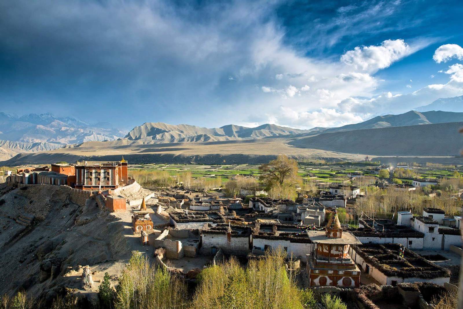upper-mustang-banner