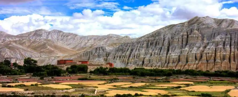 upper-mustang